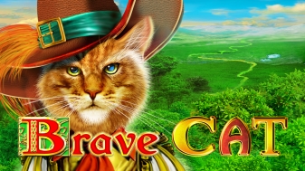 Brave Cat